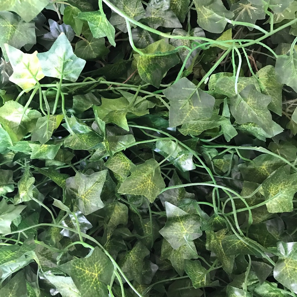 Ivy Garland, 10 Strands